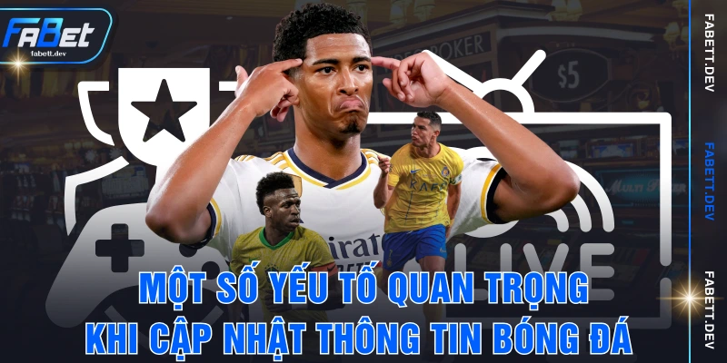 Một số yếu tố quan trọng khi cập nhật thông tin bóng đá