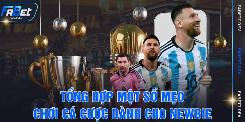 Tổng hợp một số mẹo chơi cá cược dành cho newbie