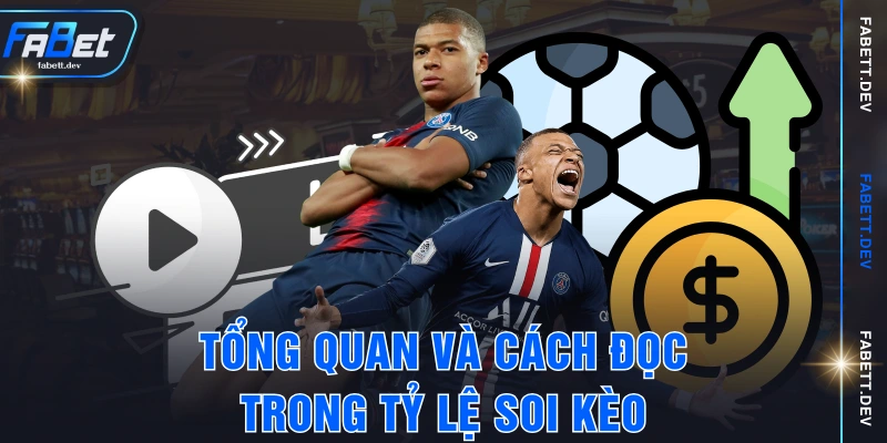 Tổng quan và cách đọc trong tỷ lệ soi kèo